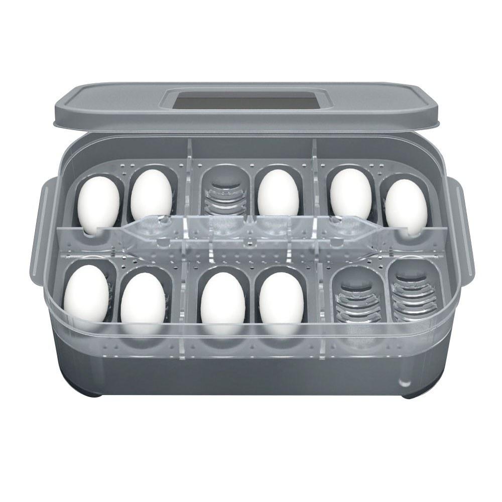 Reptile Egg Tray Reptile Egg Box White1 |   Smart Home System Smart Home System Smart Home System